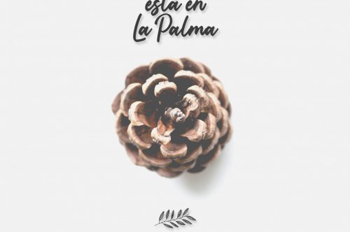 “Lo que solo ve tu corazón está en La Palma”